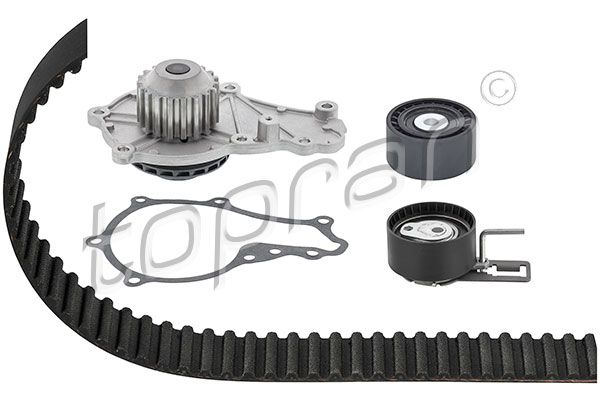 Water Pump & Timing Belt Kit Ford, Fiat, Volvo, PSA-Normteile, Mazda, Toyota