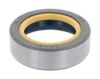 Shaft Seal, differential CASE 295151A1