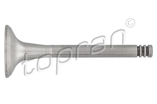 Exhaust Valve VAG