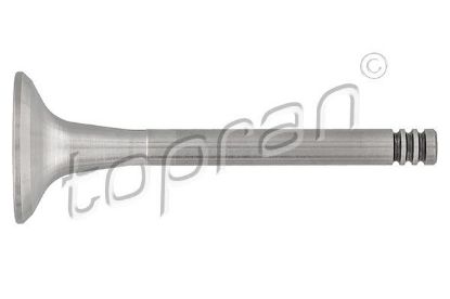 Exhaust Valve VAG