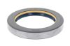 Shaft Seal, differential CASE K262144