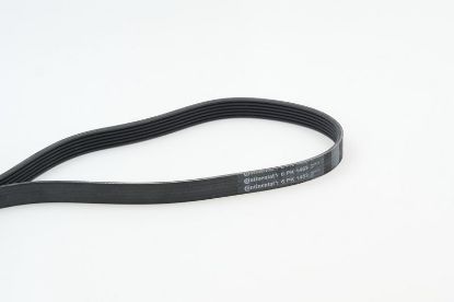 V-Ribbed Belt GENERAL MOTORS - 55565301
