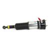 Air Suspension Strut LEXUS LS