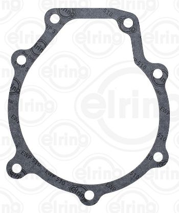Gasket, water pump DAIMLER NKW