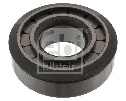 Bearing M A N 6326090065