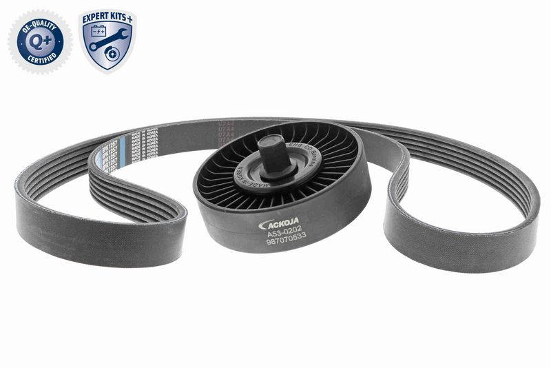 Timing Belt Kit KIA 25212 2B020 kit