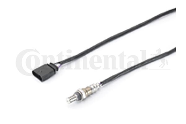 Oxygen Sensor