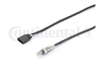 Oxygen Sensor