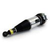 Air Suspension Strut