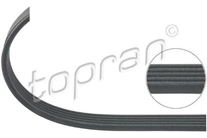 V-Ribbed Belt Opel, General Motors