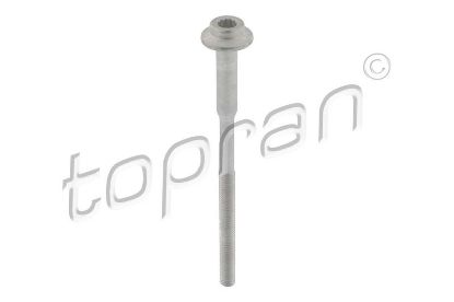 Screw, Injection nozzle holder