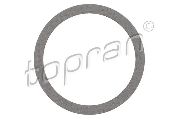 Gasket, exhaust pipe Opel, General Motors