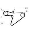 Timing Belt Kit CT 810 K1