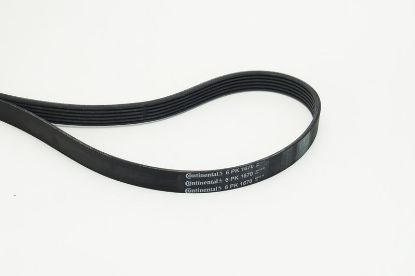 V-Ribbed Belt PSA - 5750.ZV, FORD - 1 383 663