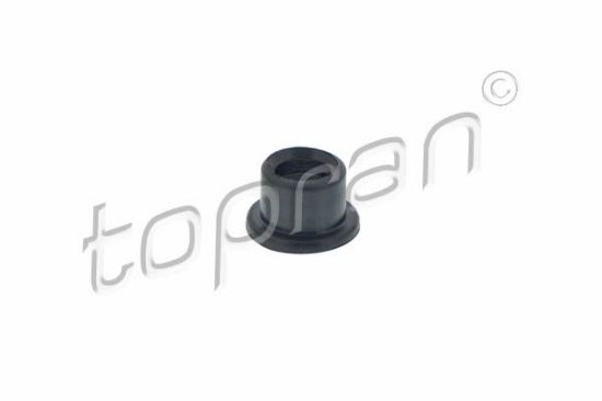 Bushing, selector/shift rod