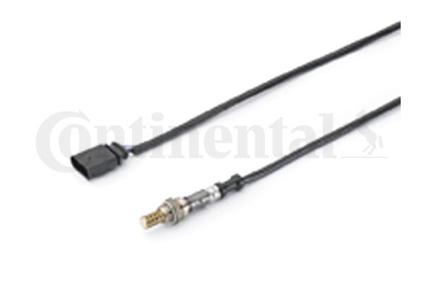 Oxygen Sensor