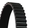 Timing Belt CT861