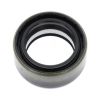 Shaft Seal, differential NEWHOLLAND 84166643