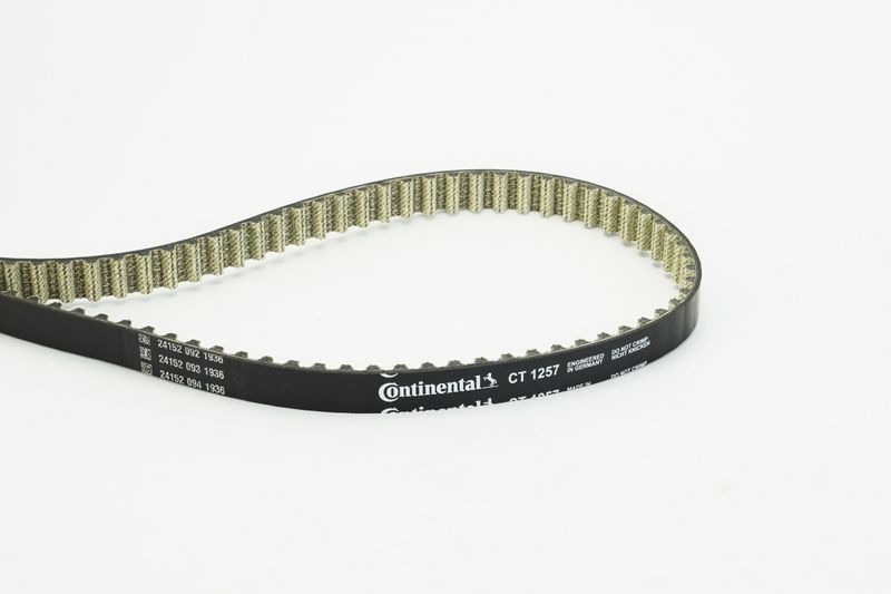 Timing Belt