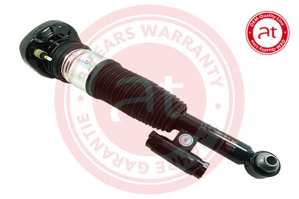 Air Suspension Strut BMW