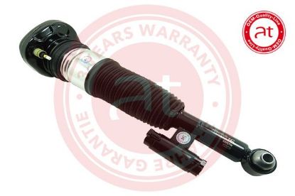 Air Suspension Strut BMW