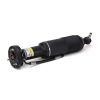 Air Suspension Strut MB SL-Class AMG (R230) 03-06 2303202913