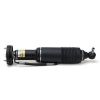 Air Suspension Strut MB SL-Class AMG (R230) 03-06 2303202913
