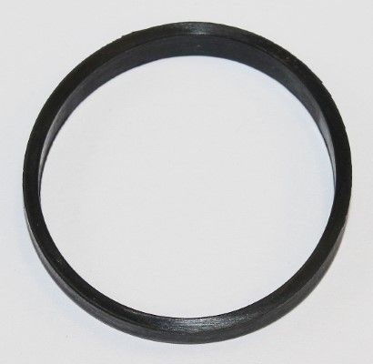 Gasket, coolant flange Renault