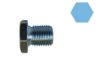 Screw Plug, oil sump FIAT - 55184773