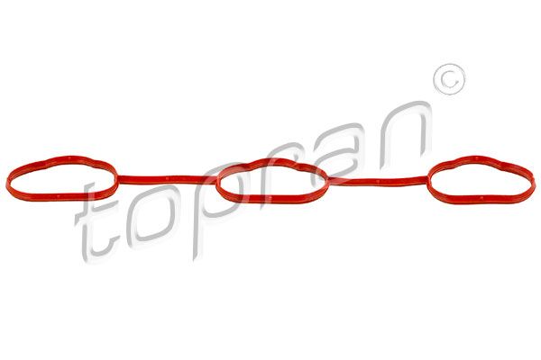 Gasket, intake manifold Opel, General Motors