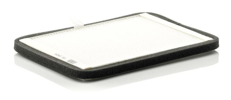 Filter, cabin air Renault Megane 1