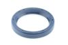 Seal Ring PSAO 9461939