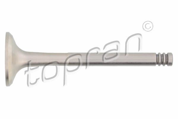 Exhaust Valve VAG, Volvo