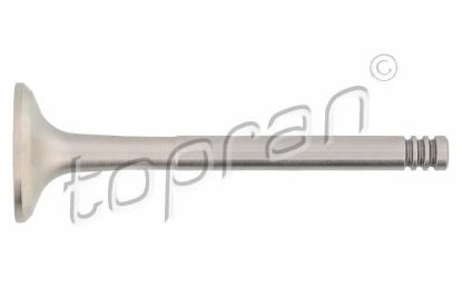 Exhaust Valve VAG, Volvo