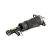 Air Suspension Strut Audi A6, allroad quattro (C5)00-05