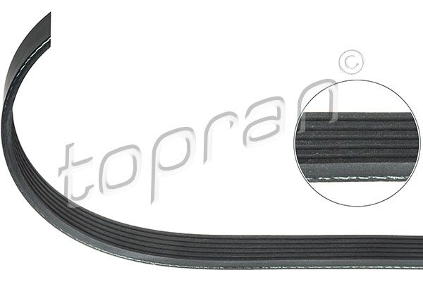V-Ribbed Belt VAG, Ford