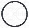 Gasket, thermostat housing VOLKSWAGEN