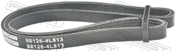 V-Ribbed Belt ALFA ROMEO 133262, CITROEN 5750.G9, FIAT 133262, G