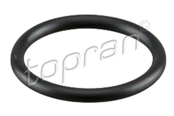 Sealing Ring, coolant line