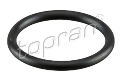Sealing Ring, coolant line