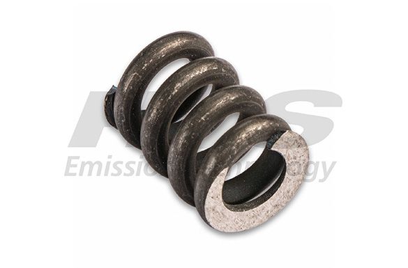 Spring, muffler Renault