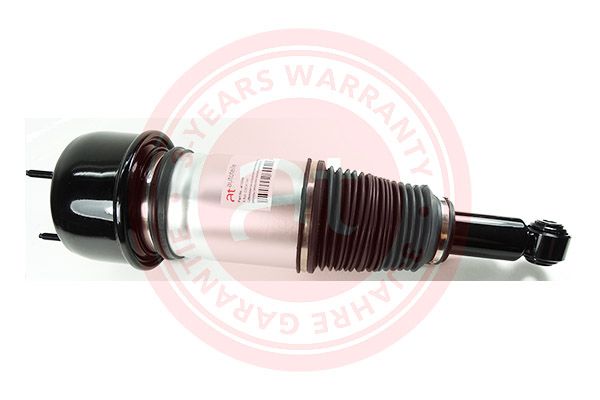 Air Suspension Strut Jaguar XJ (N3) (2003 - 2009)