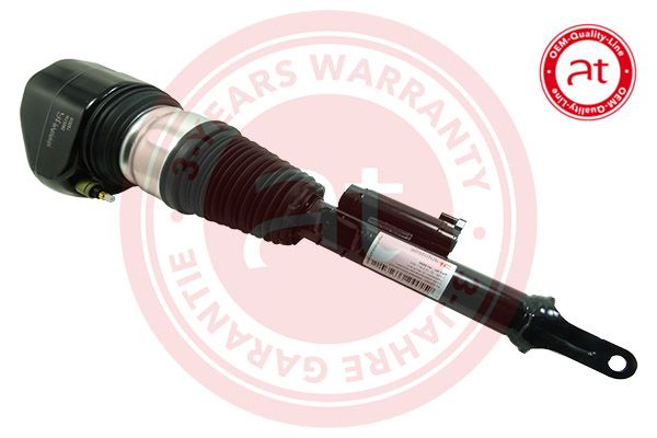 Air Suspension Strut BMW