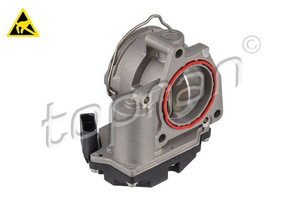 Throttle Body VAG