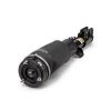 Air Suspension Strut 02-12 Land Rover Range Rover (L322) RNB000750