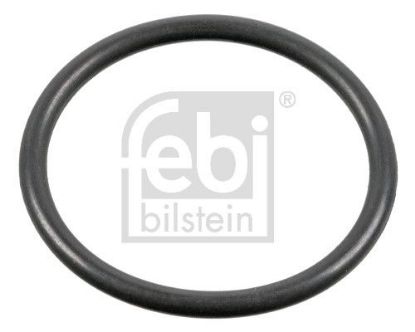 Seal Ring, injector DAF 2121 398