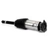 Air Suspension Strut 16- Tesla Model S