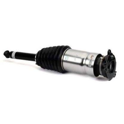 Air Suspension Strut 16- Tesla Model S