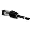 Air Suspension Strut 16- Tesla Model S