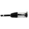 Air Suspension Strut 16- Tesla Model S